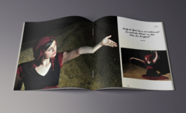  The Reinterpreters
