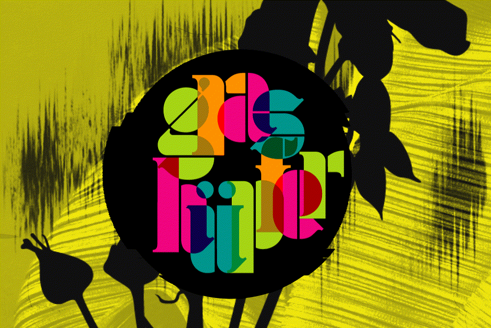  Die Reinterpreten