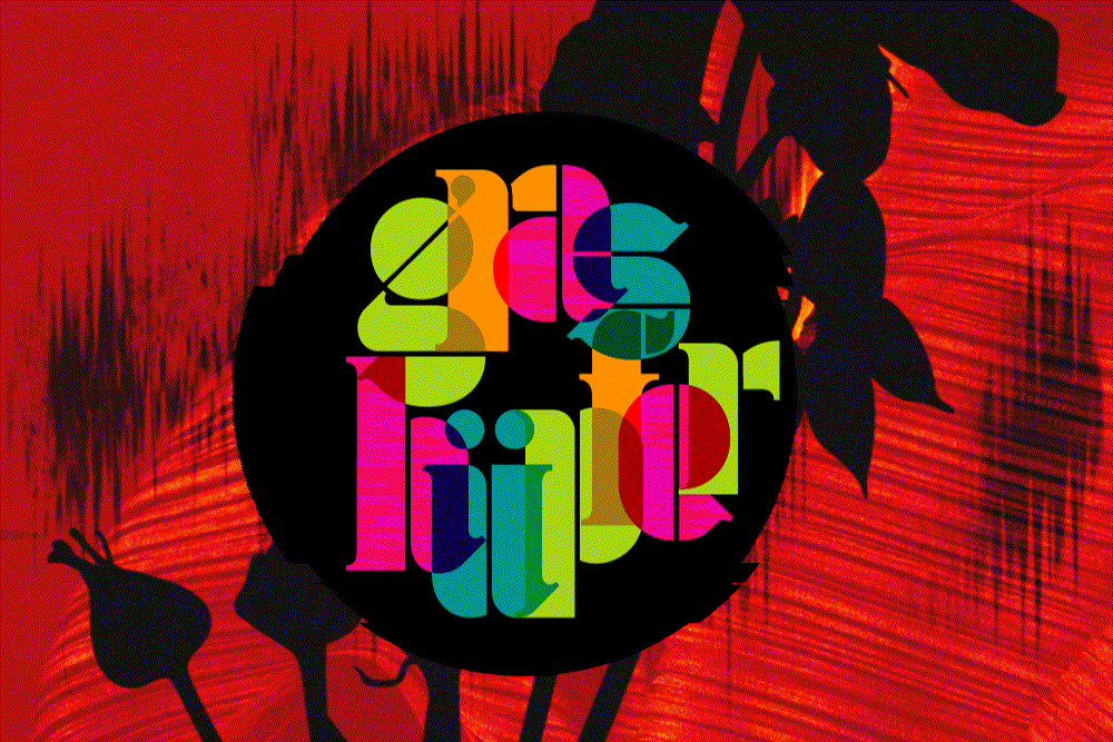  Die Reinterpreten