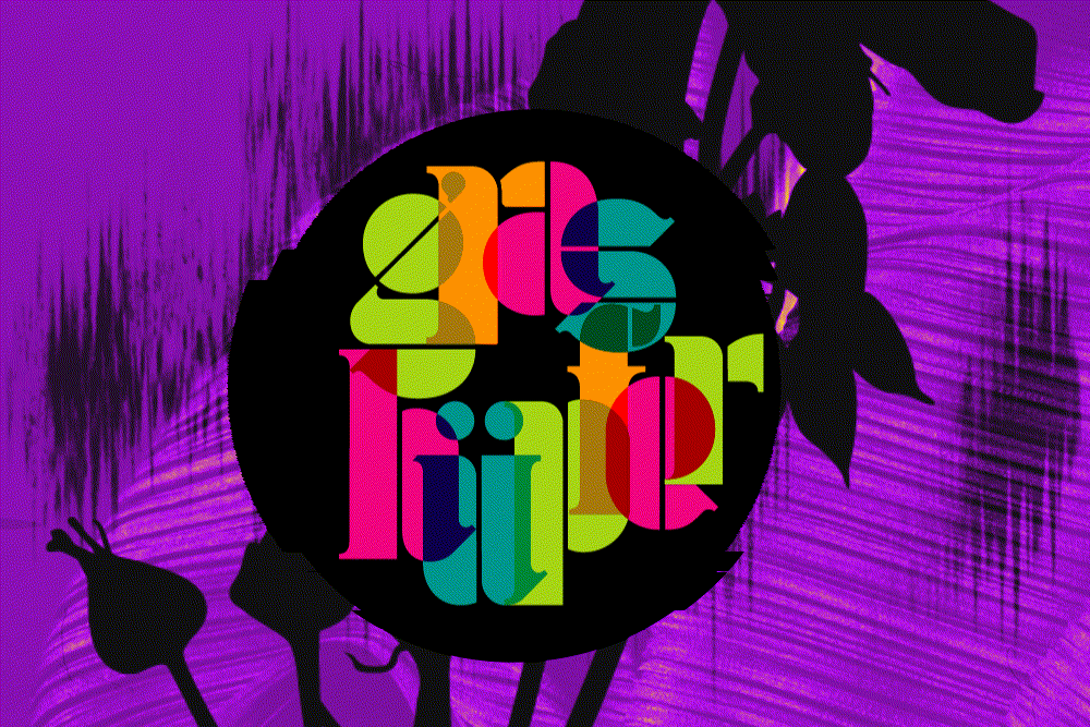  Die Reinterpreten